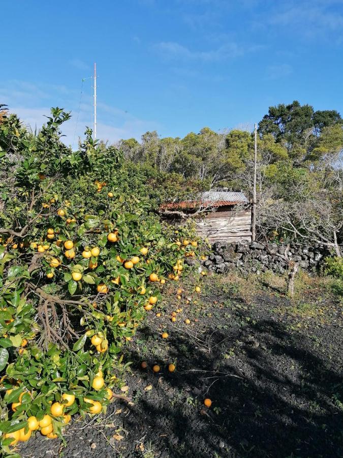 Rosa Do Canto Monte  Luaran gambar